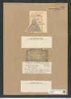 Triceratium brunii Pant. (de-Toni-Nr.: Genus 140, Species 3950) Zeichnungen Sammlung Grunow Nr. 7430 (NHMW-BOT-W0376513)